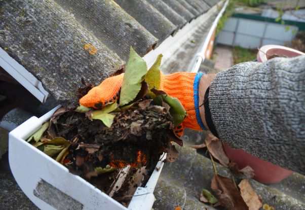 Stray embers commonly ignite dead leaves and pinecone buildup in rain gutters.