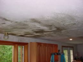 Mold growth from hidden water leaks can be a nightmare repair.
